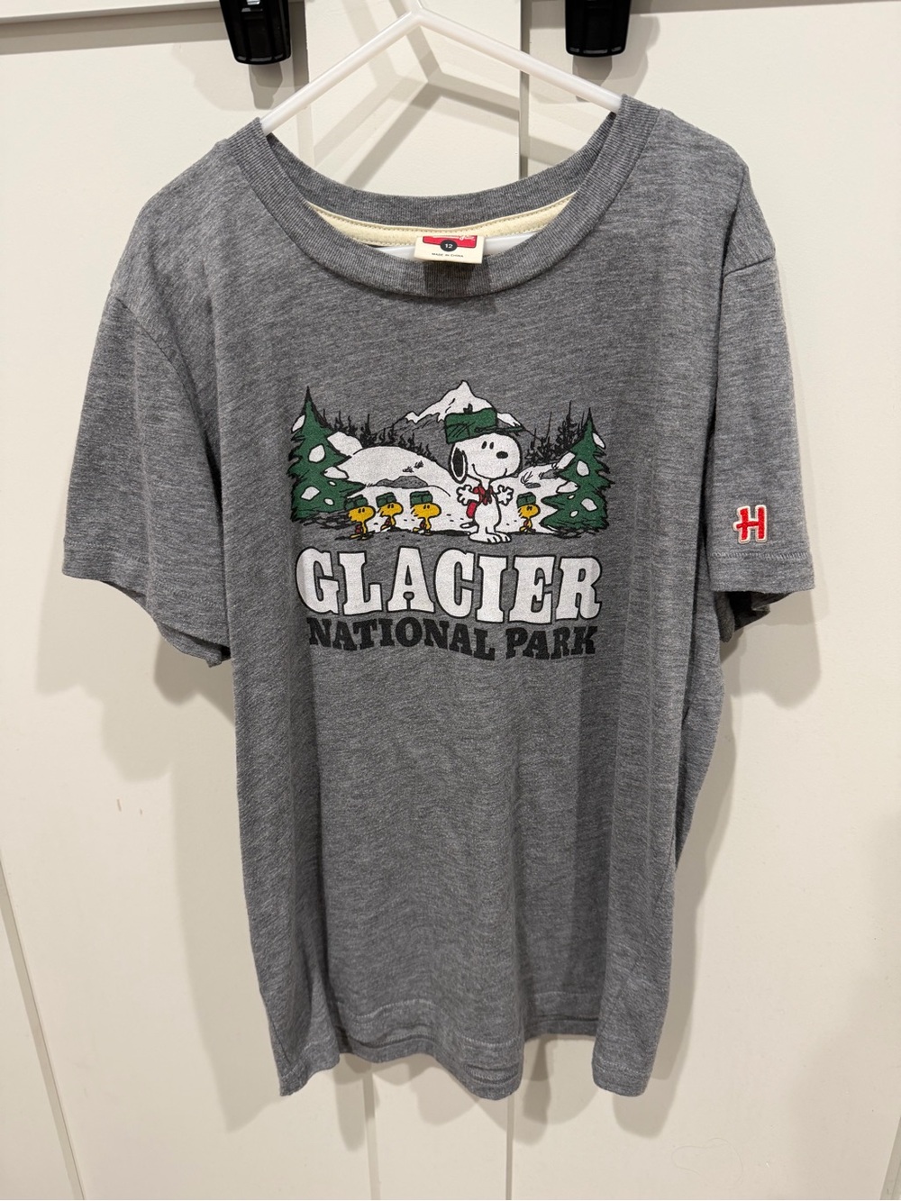 HOMAGE Gray Glacier National Park Snoopy Kids Tee with Green Accent